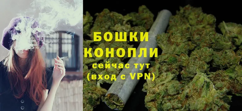 Шишки марихуана OG Kush  как найти закладки  Терек 